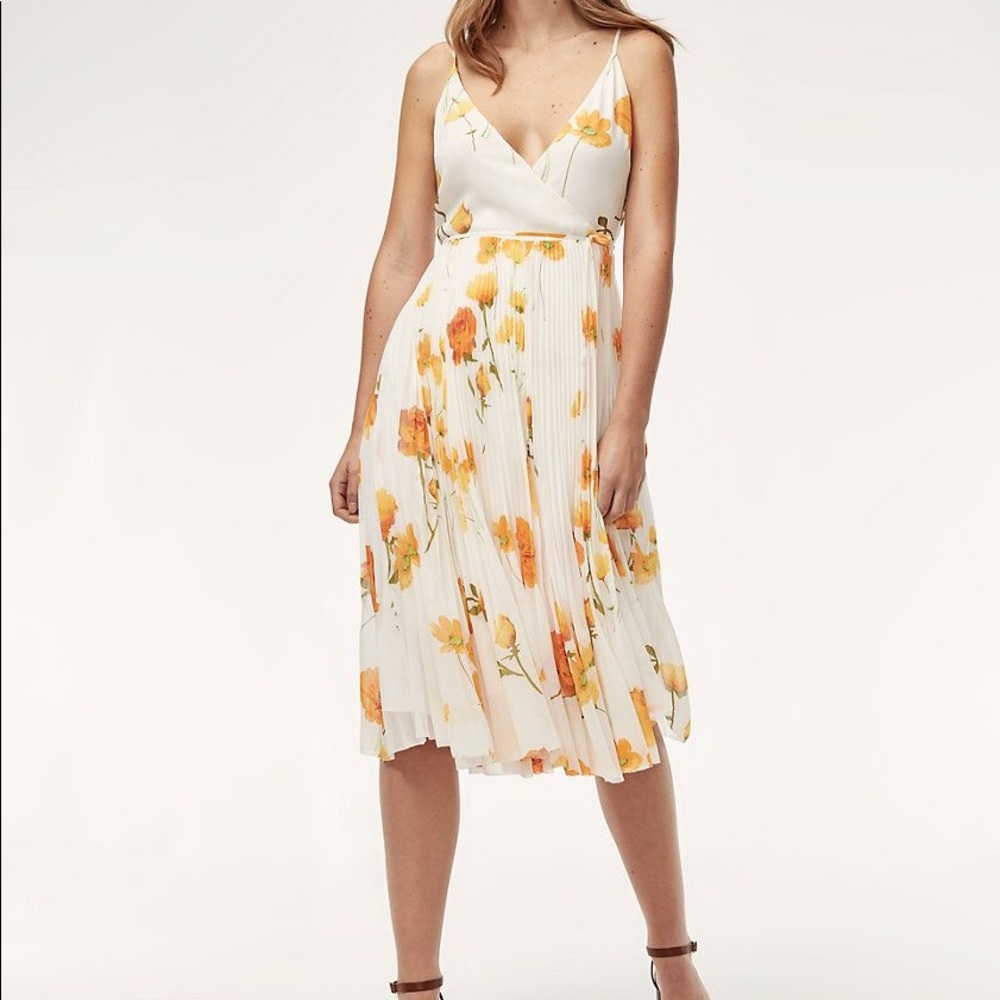 Aritzia Beaune dress